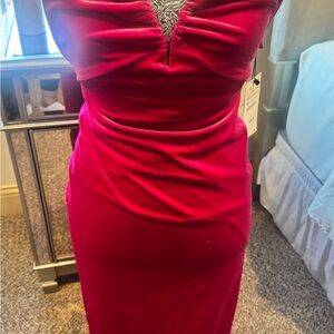 Zara Strapless Fitted Red Dress with Ruched Bodice